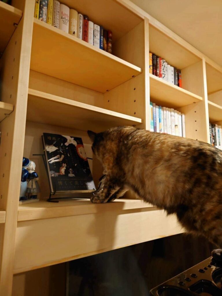 小倉住建 施工例 本好きの本棚