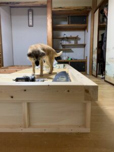 小倉住建 見学可 自宅和室リフォーム 作業風景